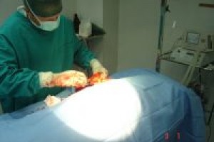Χειρουργική Μαλακών Μορίων
